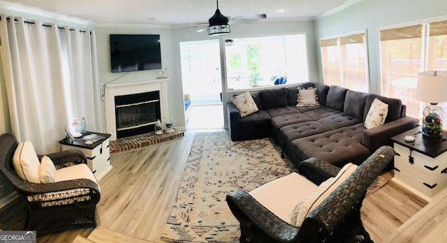 living room featuring ornamental molding and light wood-type flooring