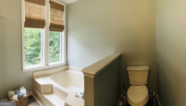 bathroom featuring a bathtub and toilet