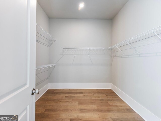 spacious closet featuring wood-type flooring