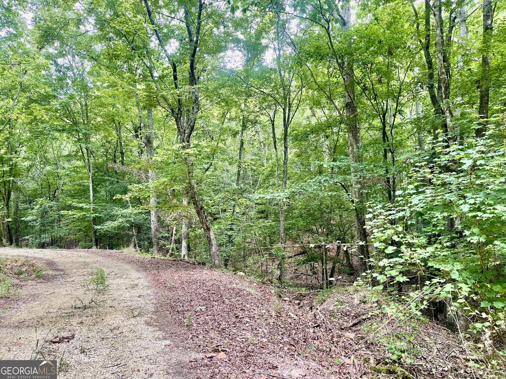 0 White Oak Rd, Summerville, GA 30747