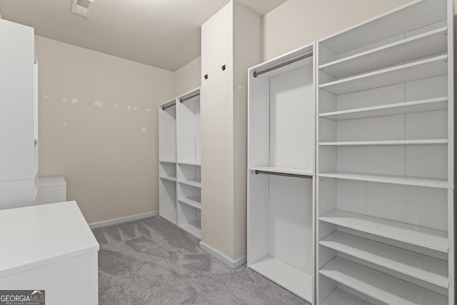 empty room with carpet flooring, a raised ceiling, and plenty of natural light