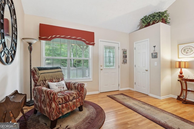 foyer featuring hardwood / wood-style flooring