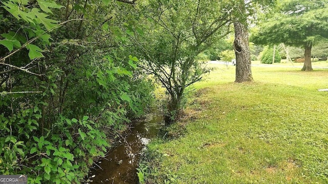 view of yard with a water view