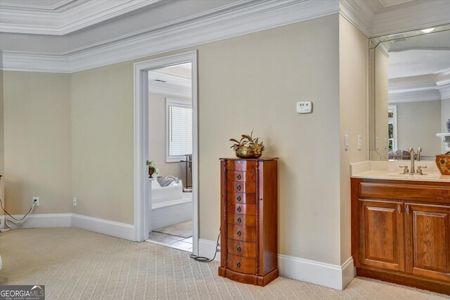 bathroom featuring vanity, crown molding, a tray ceiling, and a bathtub