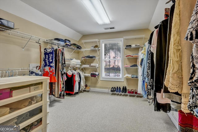 walk in closet featuring carpet