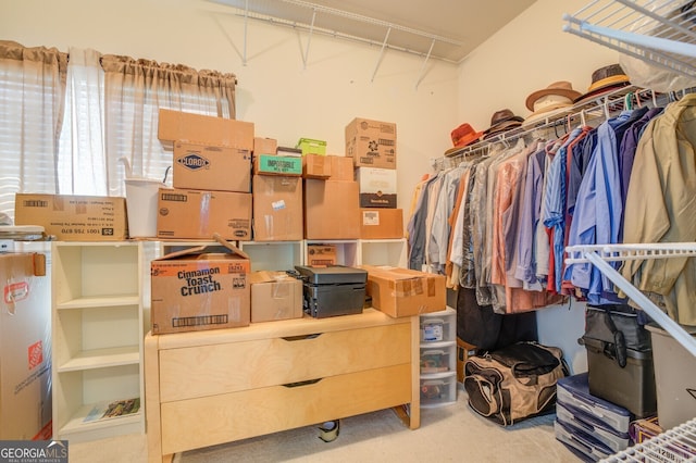 walk in closet with carpet floors