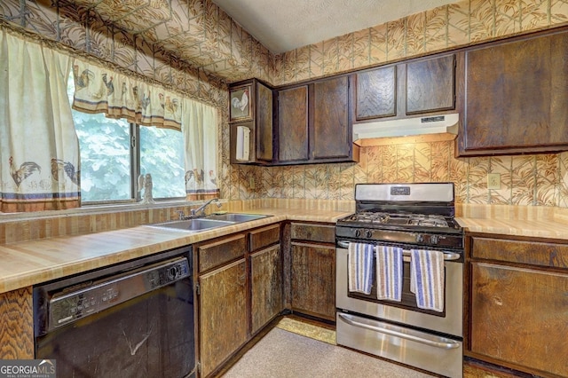 kitchen with dishwasher, sink, dark brown cabinetry, and gas stove