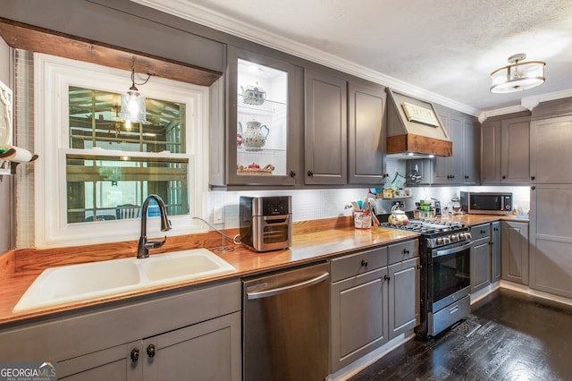 kitchen featuring crown molding, custom range hood, appliances with stainless steel finishes, sink, and dark hardwood / wood-style floors