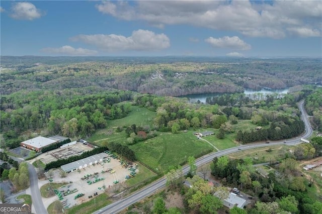 5325 Browns Bridge Rd, Cumming, GA 30041 - birds eye view of property featuring a wooded view and a water view