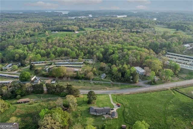 5325 Browns Bridge Rd, Cumming, GA 30041 - drone / aerial view featuring a view of trees
