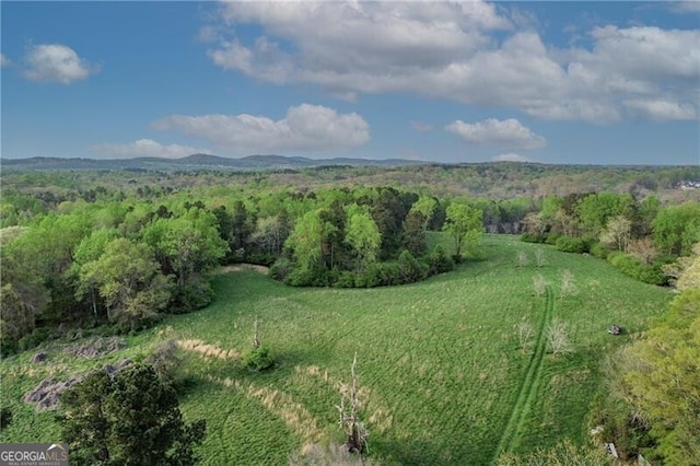5325 Browns Bridge Rd, Cumming, GA 30041 - bird's eye view featuring a forest view