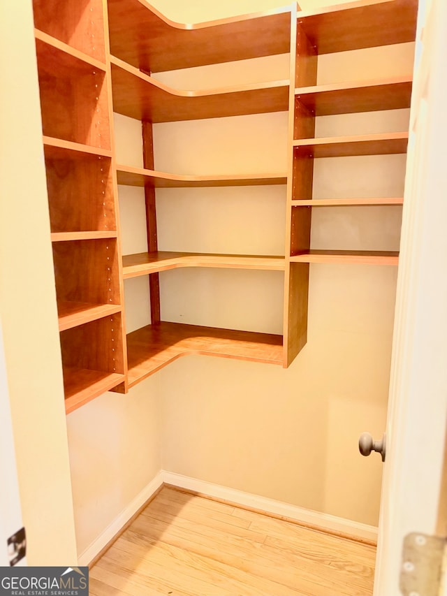 walk in closet featuring wood-type flooring