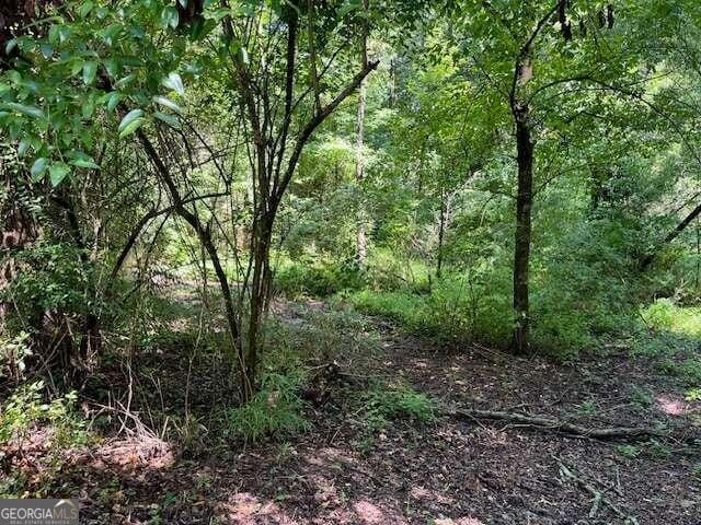 127 S Ole Hickory Trl, Carrollton GA, 30117 land for sale