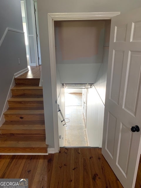 stairway with hardwood / wood-style flooring