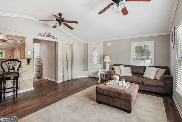 living room with ceiling fan, vaulted ceiling, wood-type flooring, and ornamental molding