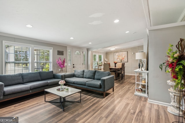 living room featuring crown molding and wood-type flooring