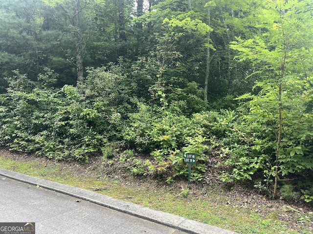 Listing photo 3 for LOT40 Anderson Dr, Clayton GA 30525