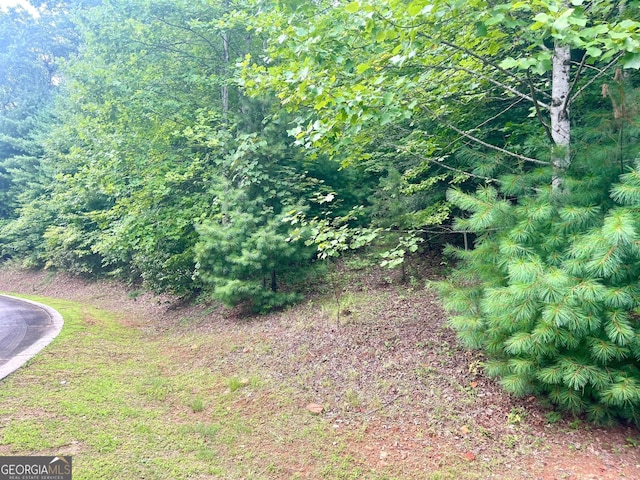 Listing photo 2 for LOT19 Wagstaff Way, Clayton GA 30525