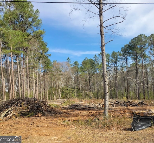 00 Maple Trl, Sharpsburg GA, 30277 land for sale