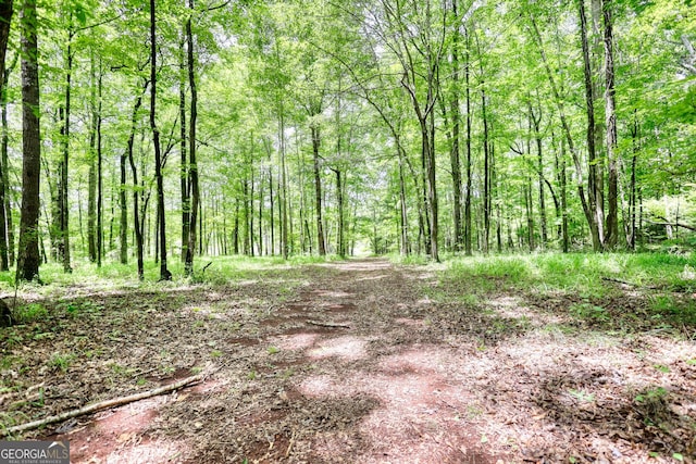 view of local wilderness with a view of trees