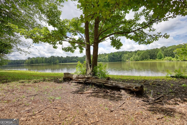 view of water feature with a view of trees