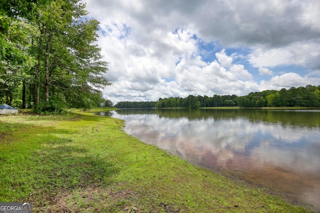 water view featuring a view of trees