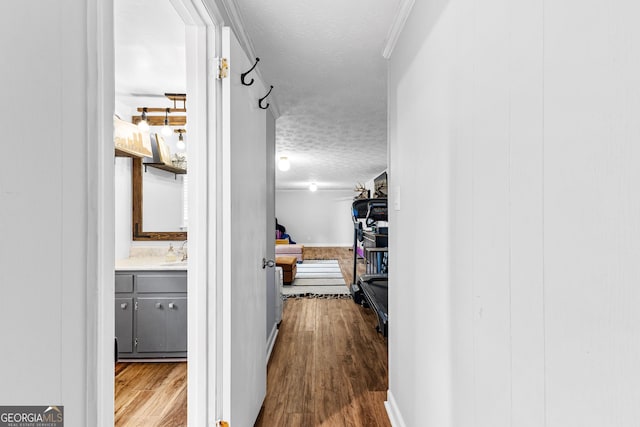 hallway featuring sink, a textured ceiling, and light wood-type flooring