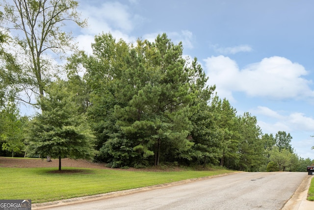 101 Lotus Point Dr, Macon, GA 31220