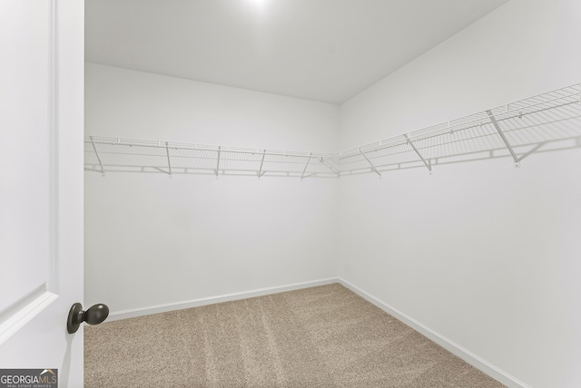 spacious closet with carpet floors