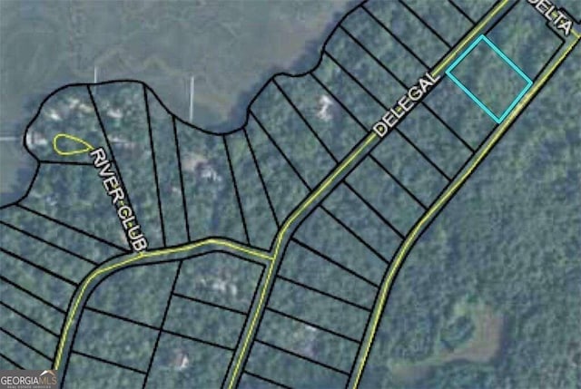 41 Delegal Dr, Townsend GA, 31331 land for sale