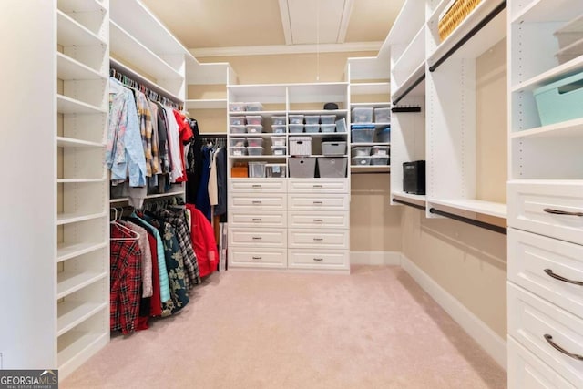 walk in closet with light colored carpet