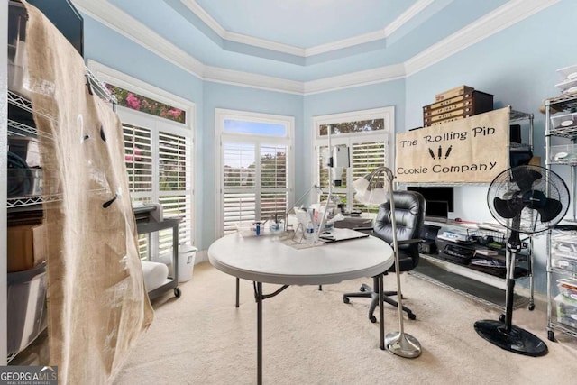 home office featuring ornamental molding, a raised ceiling, and carpet flooring