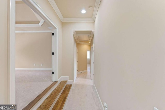 hallway featuring light carpet and ornamental molding