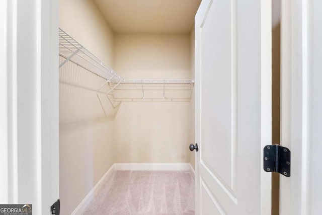 walk in closet featuring carpet