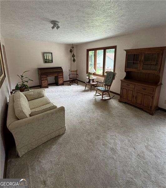 carpeted living room featuring a textured ceiling