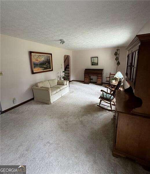 living room with carpet flooring and a textured ceiling