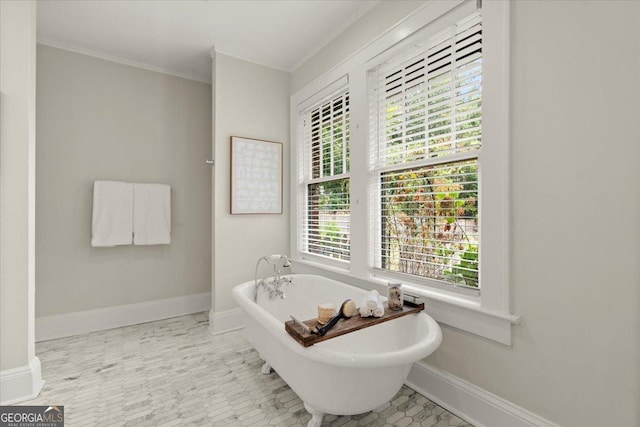 bathroom with crown molding and a bathing tub