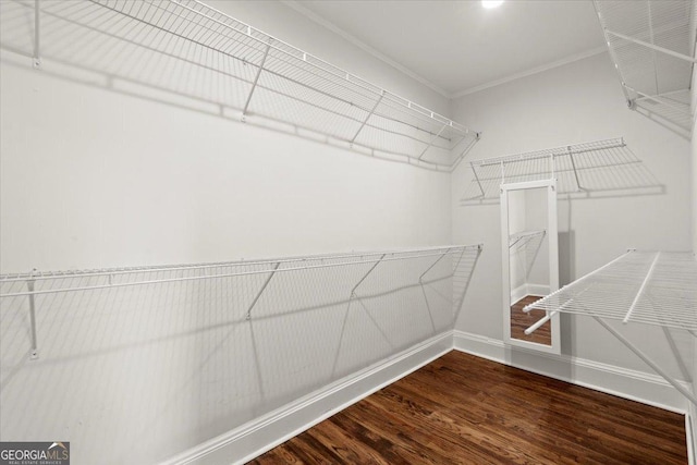 walk in closet featuring wood-type flooring