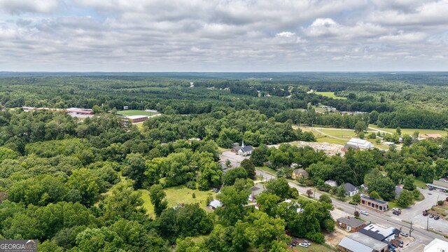 99 W Main St, Gibson, GA 30810 - aerial view of a forest