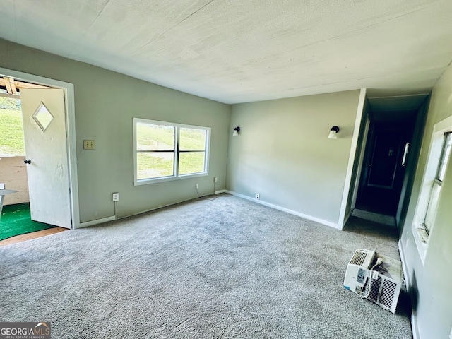 interior space with carpet and a textured ceiling