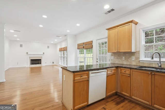 kitchen with sink, light hardwood / wood-style flooring, dark stone countertops, white dishwasher, and backsplash