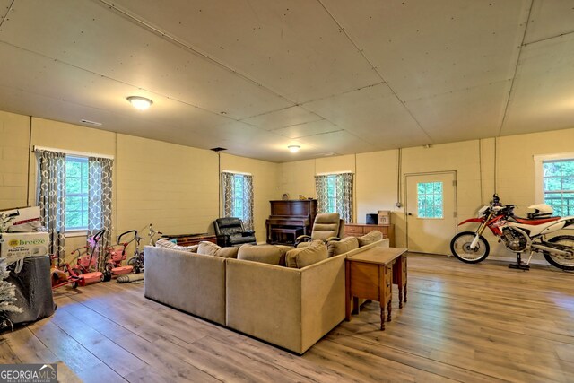 living room featuring light wood-type flooring