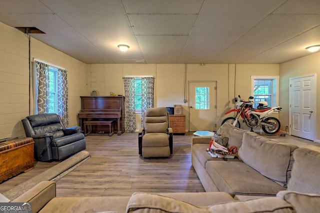 living room featuring hardwood / wood-style flooring