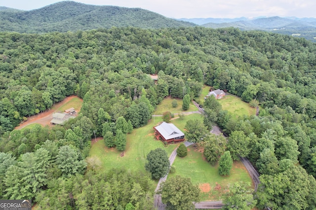 bird's eye view with a mountain view