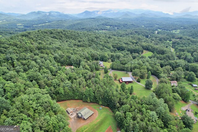 drone / aerial view featuring a mountain view