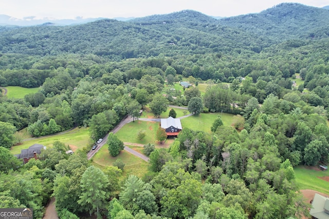 birds eye view of property featuring a mountain view