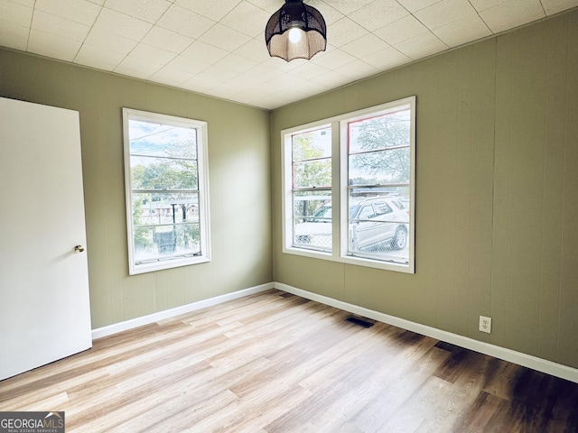 unfurnished room featuring light wood-type flooring and a wealth of natural light