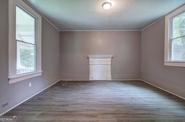 bonus room featuring hardwood / wood-style flooring and plenty of natural light