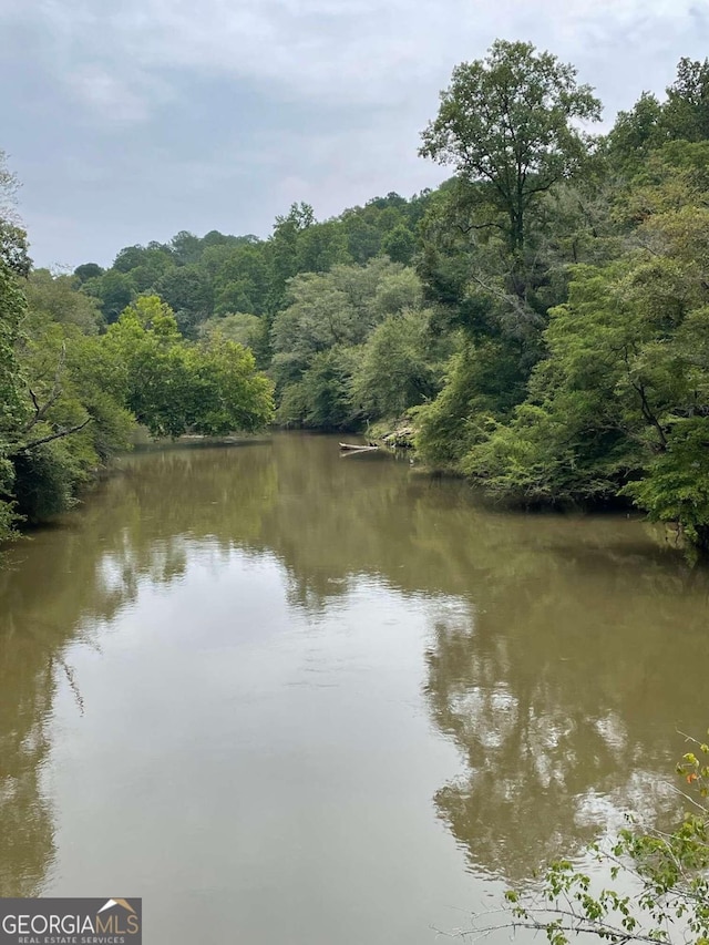 property view of water featuring a wooded view