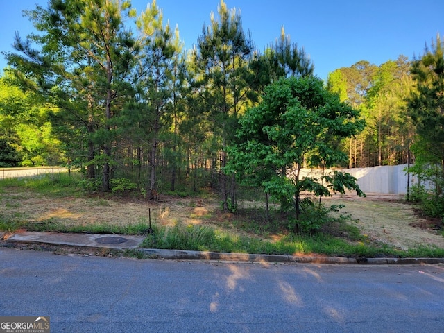 7072 Bells Way, South Fulton GA, 30213 land for sale